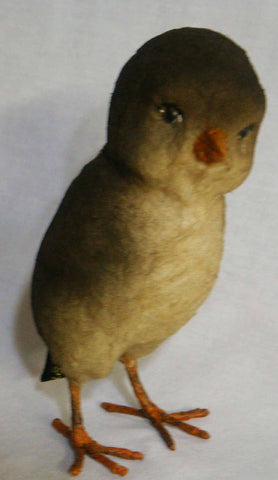 Chick brown