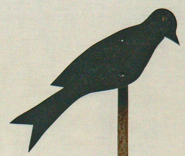 Crow