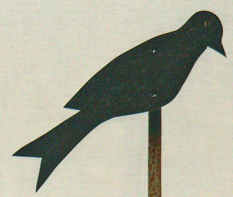Crow