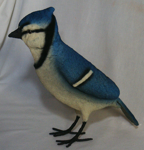 Blue Jay