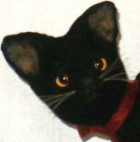 Black Cat - Large - Kitty's Ltd.
 - 2