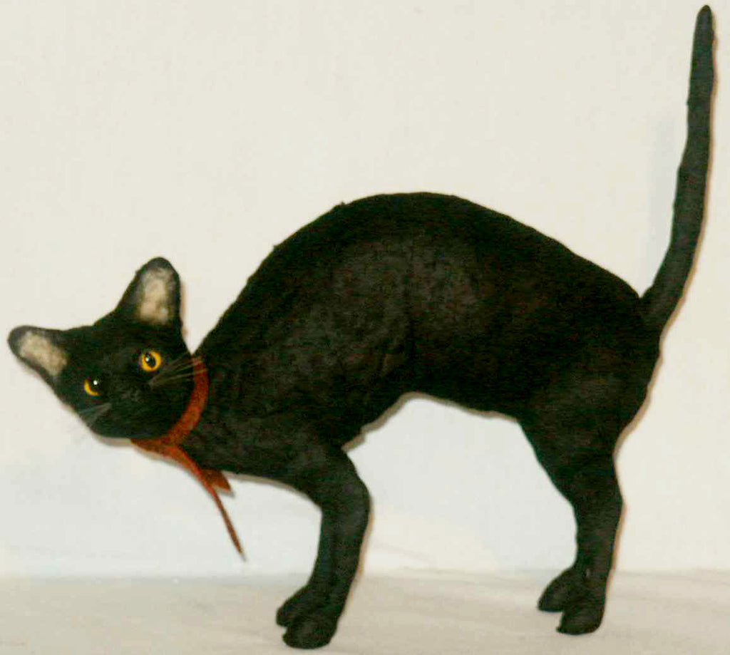 Black Cat - Large - Kitty's Ltd.
 - 1